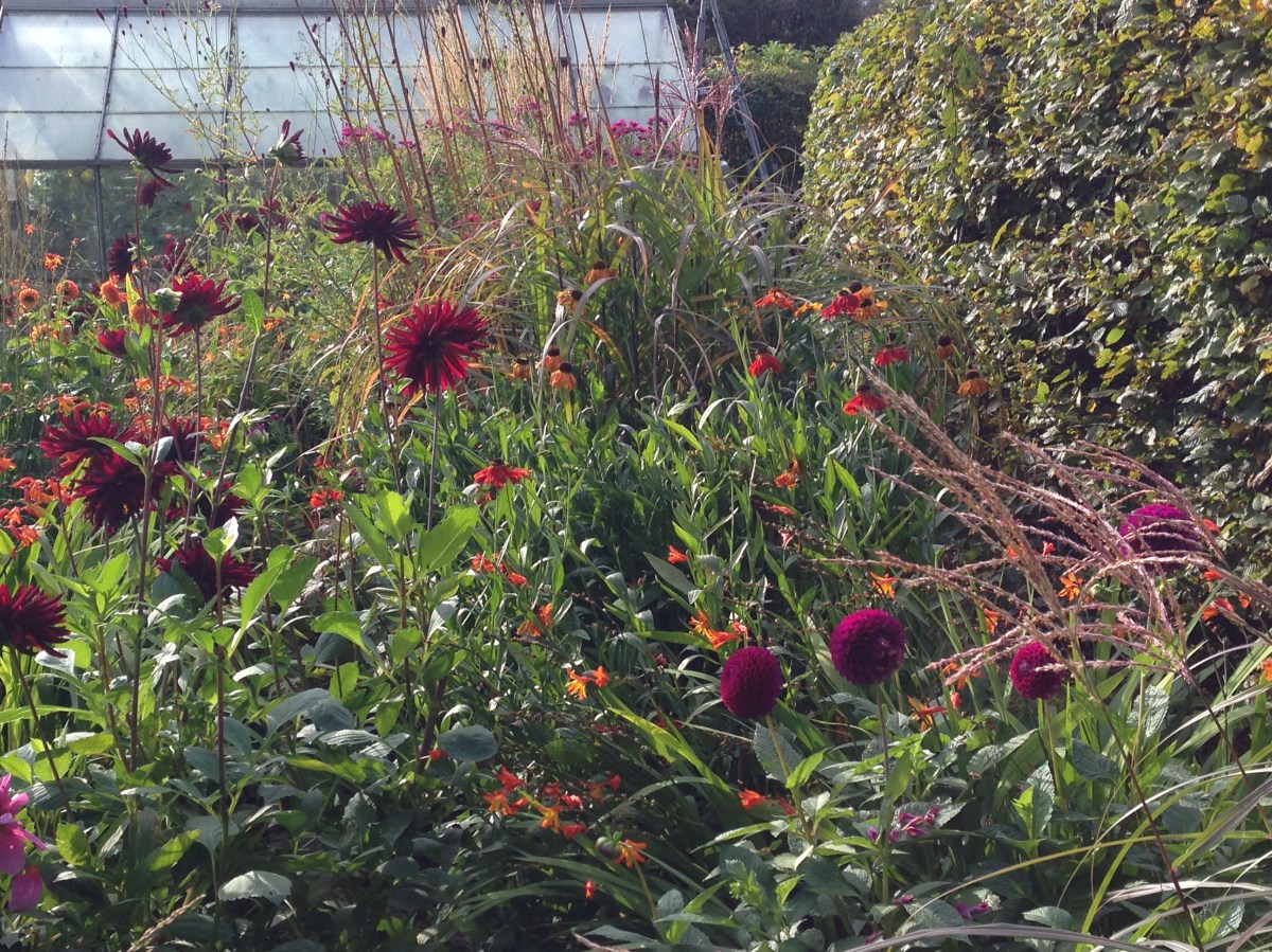 A record of the final&nbsp;year